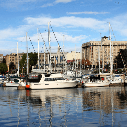 ictoria_harbour_boats