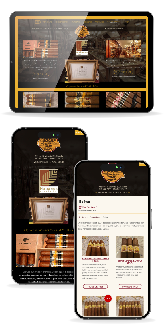 multiple mobile views of website